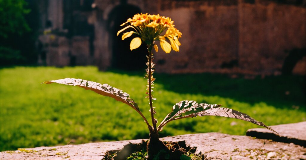 Analyse et Traitement des Déficiences en Magnésium, Fer, Soufre et Bore dans les Plantes – végétaux | Analyse et Traitement des Déficiences en Magnésium, Fer, Soufre et Bore dans les Plantes - végétaux -