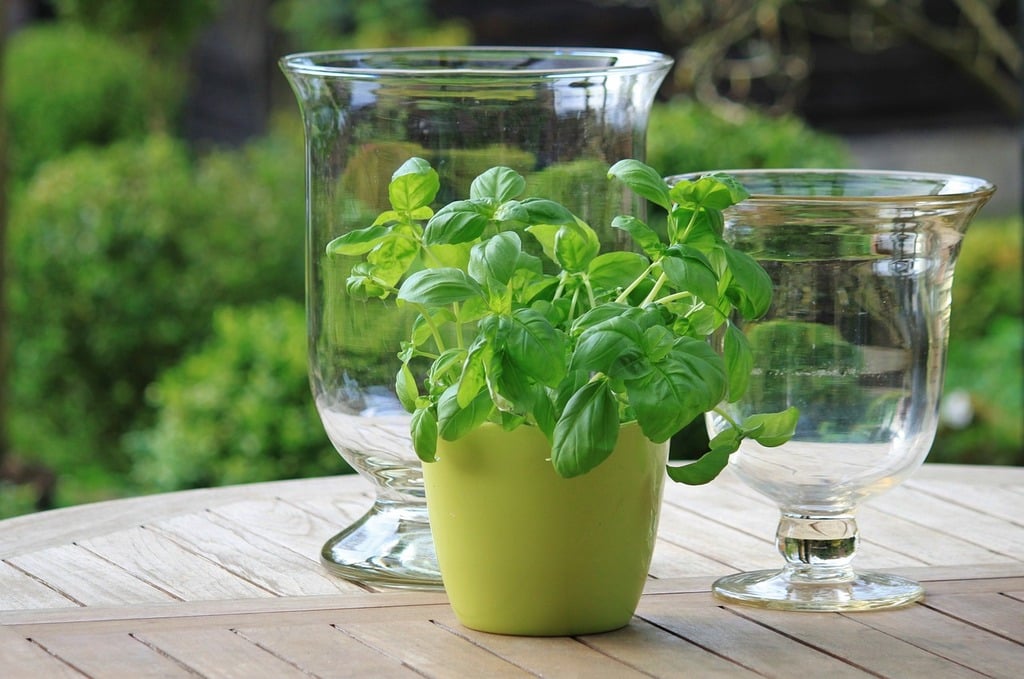 Créez votre Jardinière d'Aromatiques pour une Cuisine Fraîche – Herbes aromatiques | Créez votre Jardinière d'Aromatiques pour une Cuisine Fraîche - Herbes aromatiques -