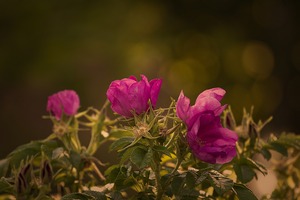 Blog – | Blog - -