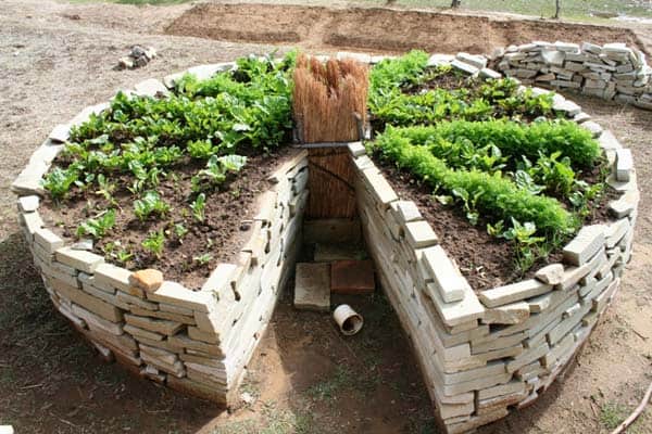 Cultiver avec Ingéniosité : Le Potager en Trou de Serrure - Le saviez-vous -