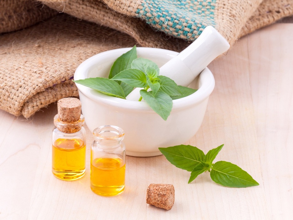 Alternatives Biologiques pour les Soins des Plantes - Apprentissage -