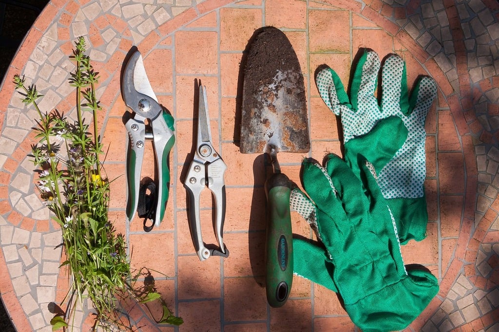 Guide Pratique pour Choisir le Meilleur Sécateur : Un Outil Indispensable pour Tout Jardinier - Le saviez-vous -