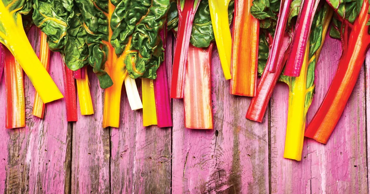 Bettes à Cardes Colorées : Un Festin pour les Yeux et le Palais - Apprentissage -