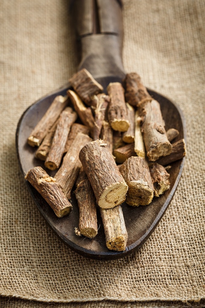 La Culture Maison de la Réglisse : Comment Faire Pousser cette Plante Médicinale et Gourmande - Le saviez-vous -