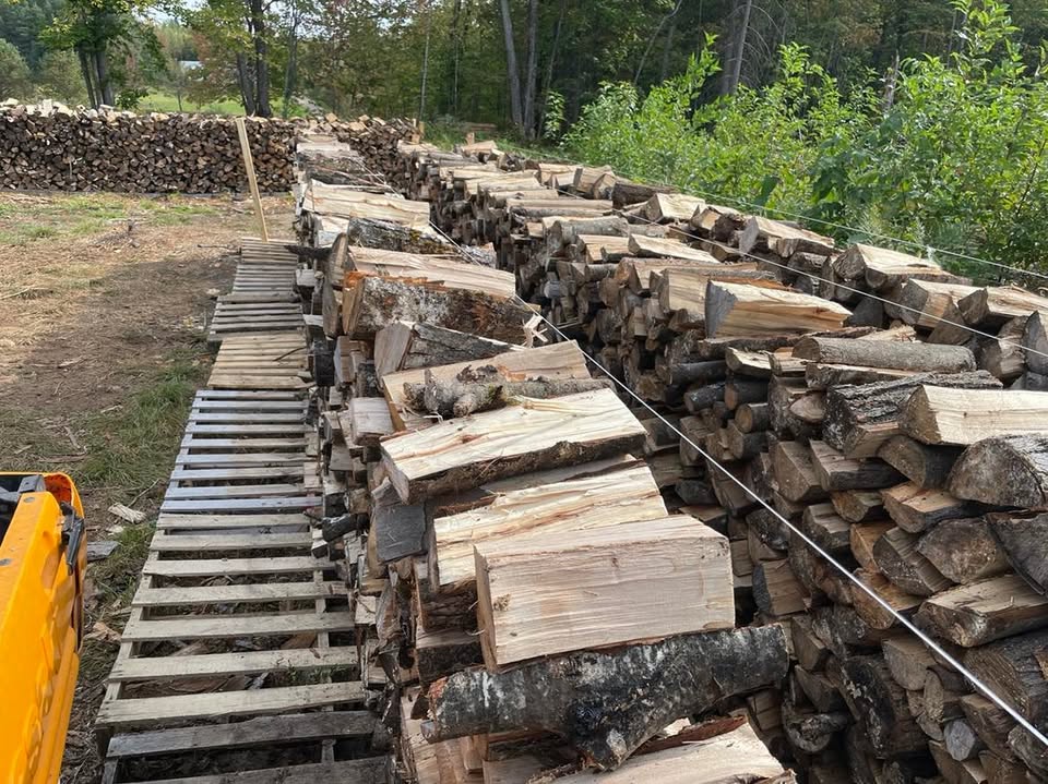 Bois de Chauffage : Un Guide Complet sur les Essences à Choisir - Uncategorized -
