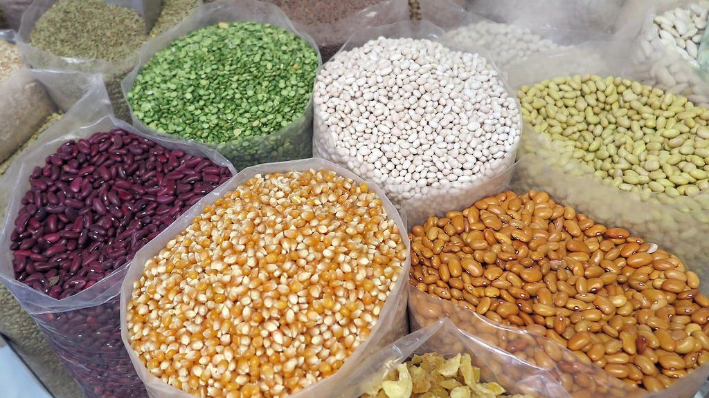 Récolte de Graines au Jardin : Économique et Enrichissant - Apprentissage -