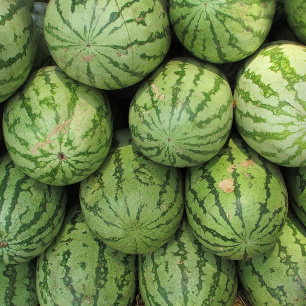 melon