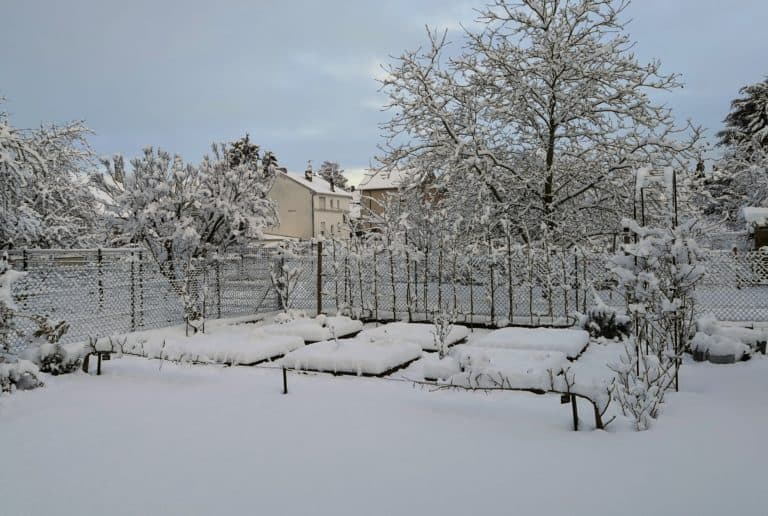 🌿 Planter trop tôt ou trop tard : les pièges du printemps en climat nordique – Aménagement | 🌿 Planter trop tôt ou trop tard : les pièges du printemps en climat nordique - Aménagement -