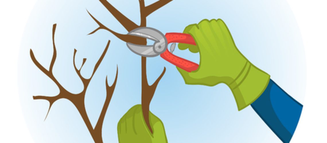 56058340-mains-rognage-un-arbre-avec-une-tondeuse-de-jardin