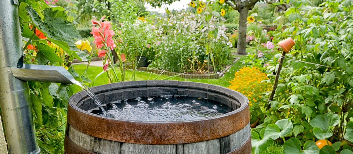 choisir-un-recuperateur-d-eau-de-pluie-1