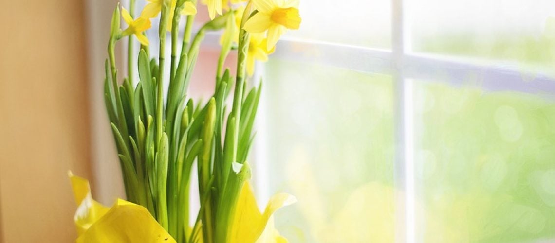 aftulipe