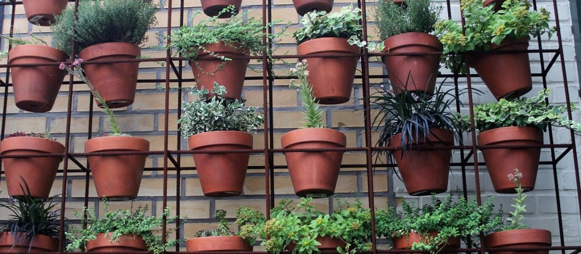 jardin balcon