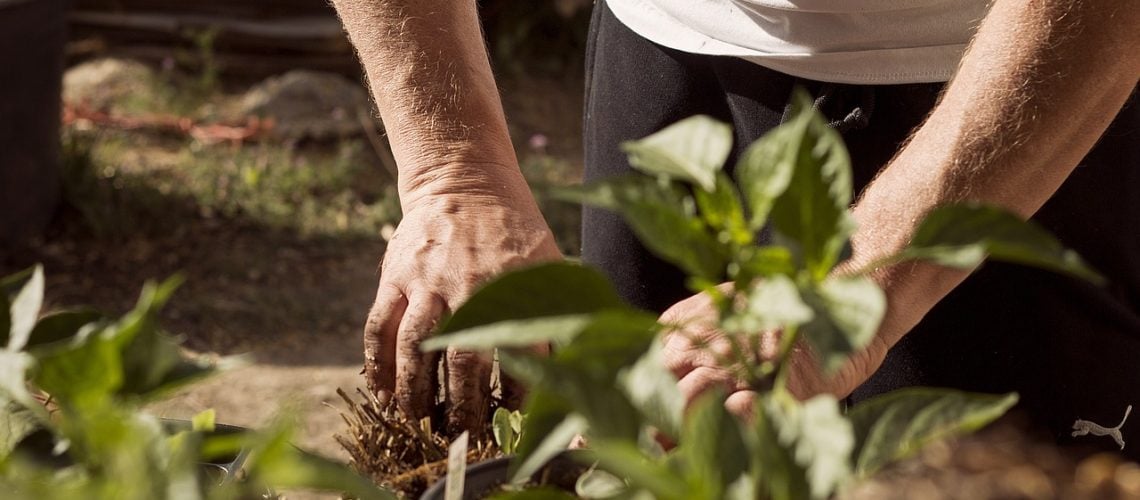 propagation