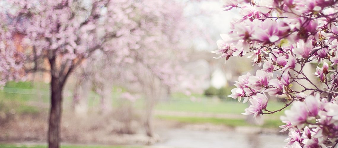 printemps