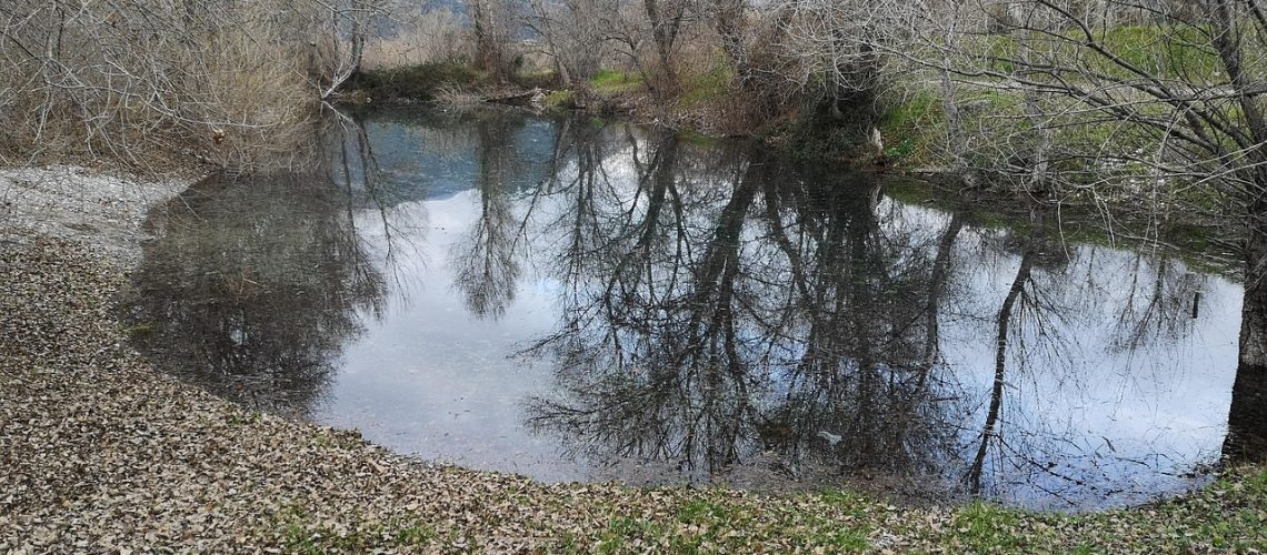 étang et bassin