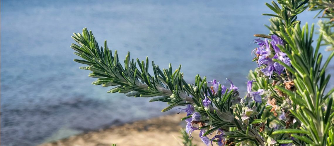mediterranean-6802127_1280