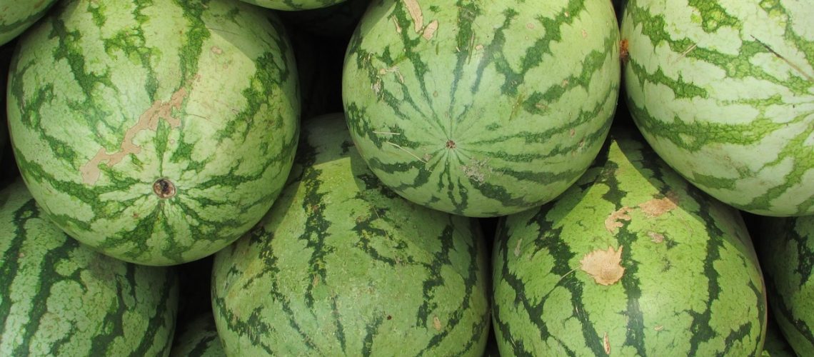 melon
