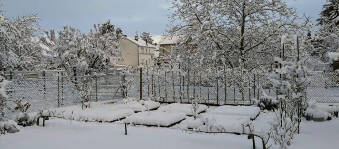 plantation neige