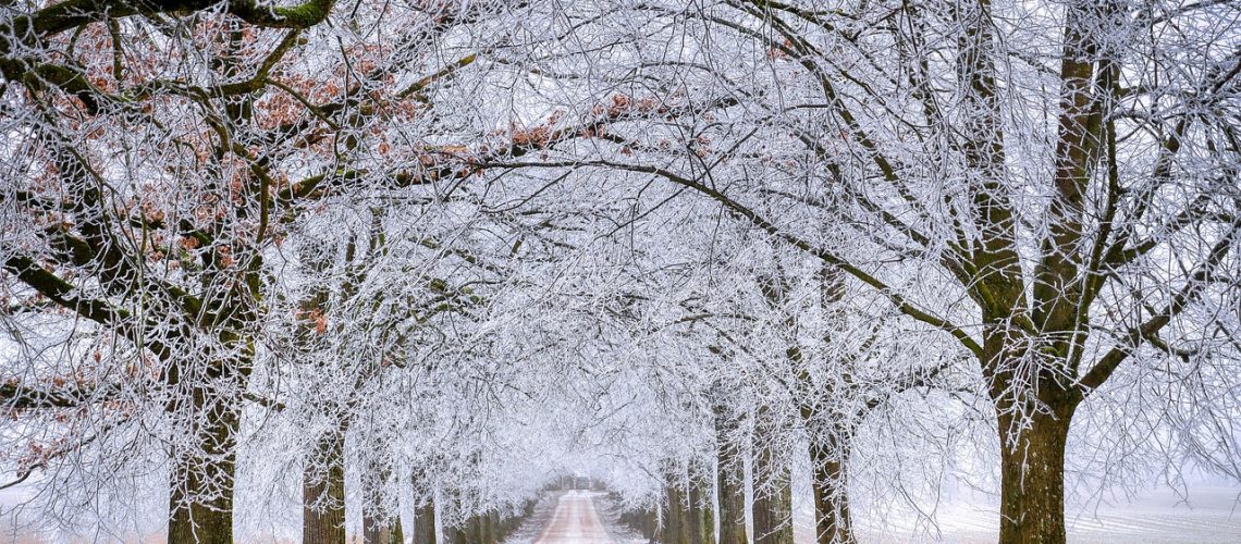 winter road