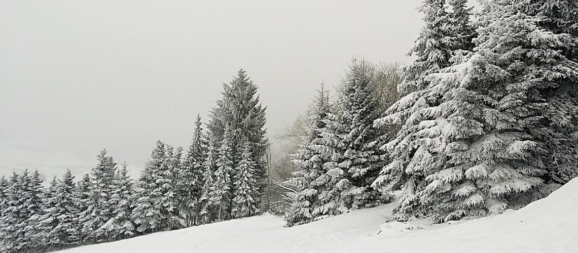 winter-1203309_1280